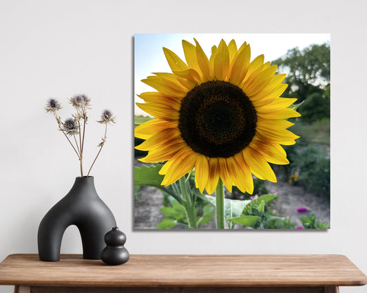 12in Unique Personalized Print Canvas | Photo Canvas, Custom Canvas Prints for Your Photos